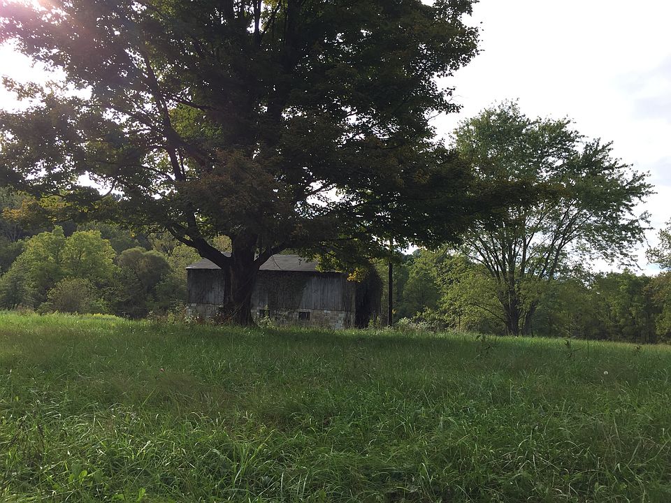 View from road