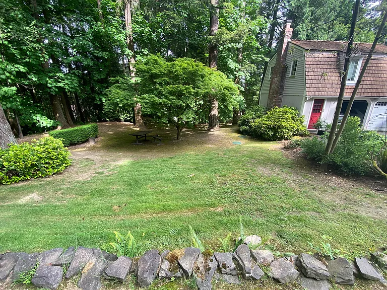 Yard on a spring day, mostly cloudy