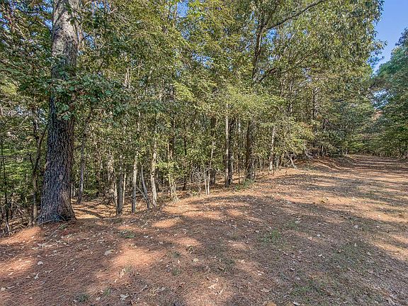 3rd image of 0 County Road 404