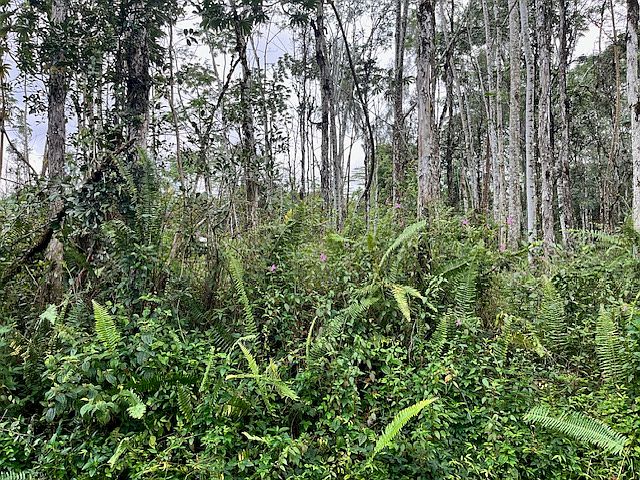 2nd image of Hawaii Rd Lot 749