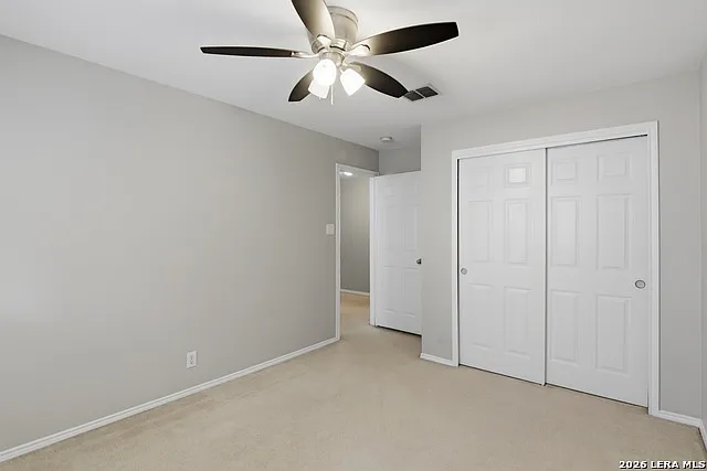 25537 Gold Yarrow — Photo 12