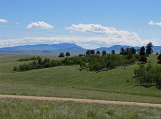 10004 Ranch Rd, Hartsel, CO 80449
