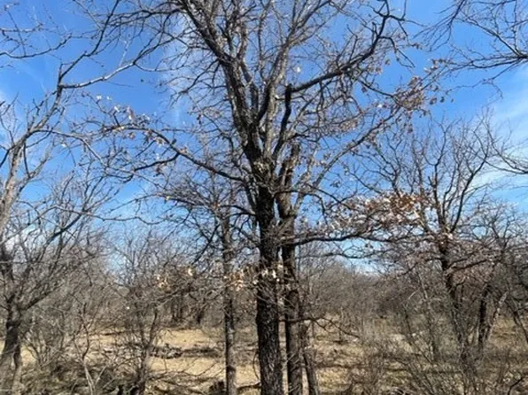 TRACT 2 S Fm 600, Abilene, TX 79601