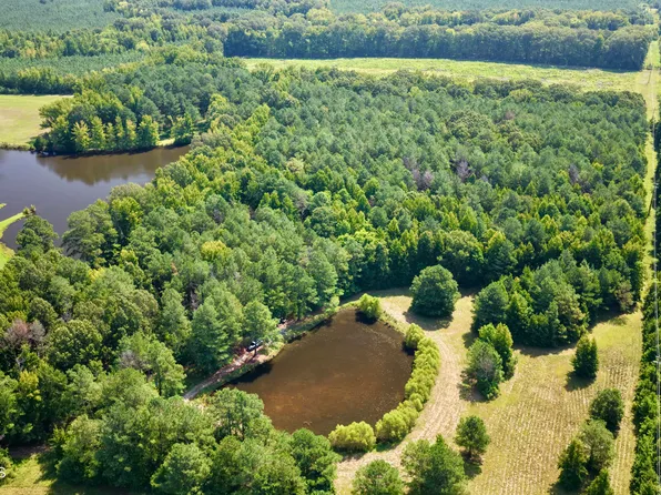 N Beasley Rd, Pheba, MS 39755