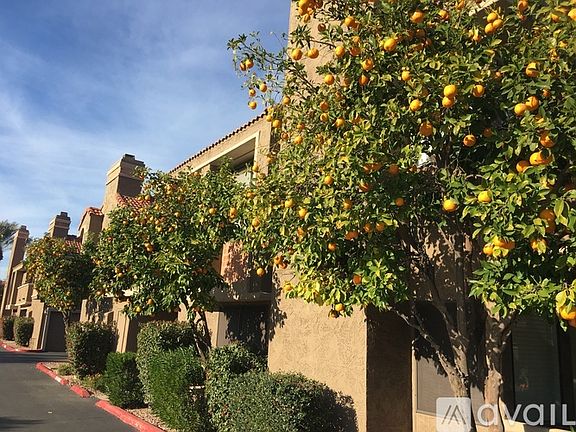 3rd image of 5122 E Shea Blvd #20777
