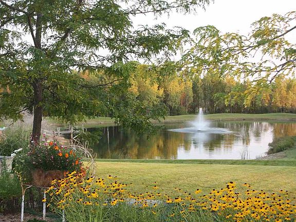 Pond from Upper Patio
