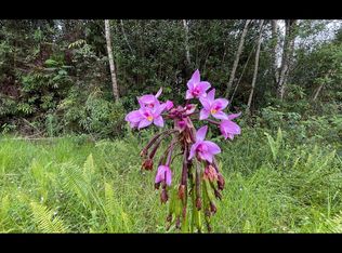16-1459 Opeapea Rd LOT 4791, Mountain View, HI 96771