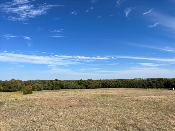 0 Rochell Cannon Rd, Bells, TX 75414
