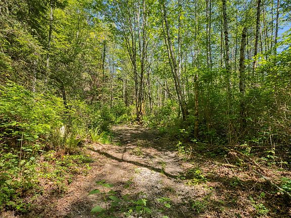 4th image of 222 -xx Neat Avenue NE