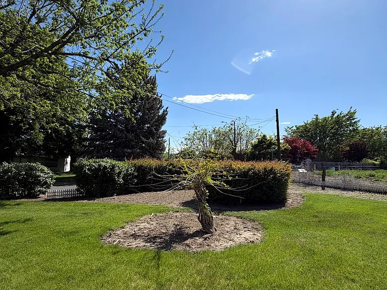 802 Woods Rd — Photo 11