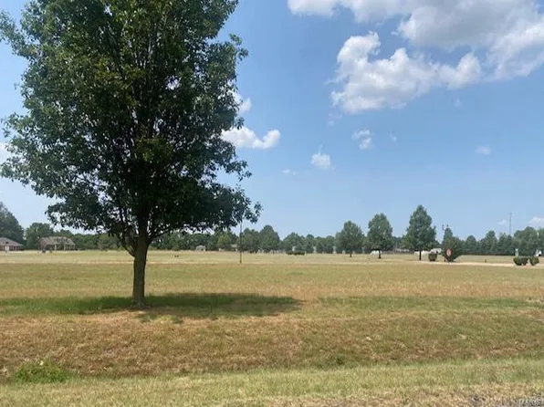 0 Bradford Pl, Malden, MO 63863