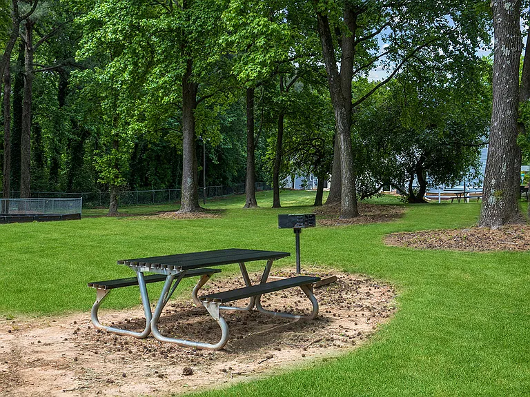 Grill and picnic area