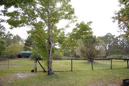 Back pasture