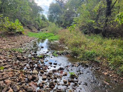 0 Whispering Meadows Lane, Marshfield, MO, 65706