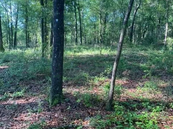 1718 Highway 10a, Ponce De Leon, FL 32455