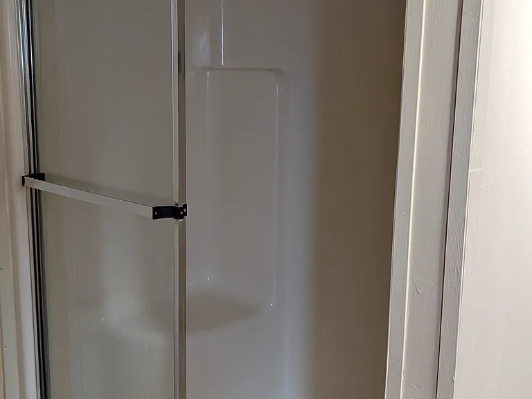 Master Bathroom Shower