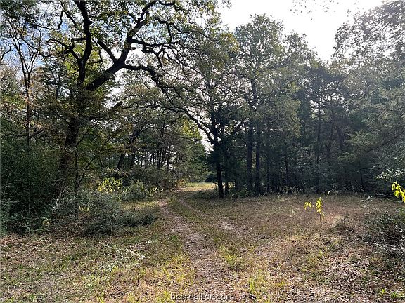 2nd image of County Road 126