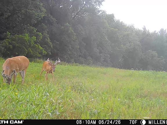 5th image of 0 NW 40th Ln