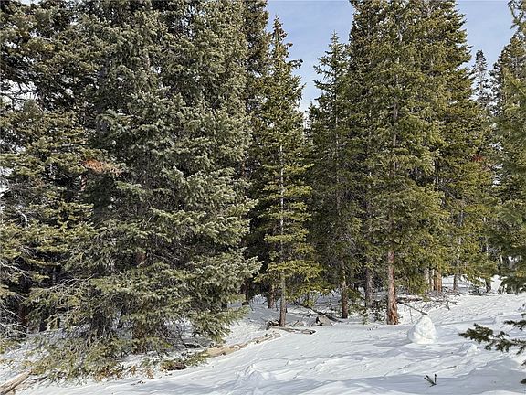 5th image of 306 GRIZZLY Drive