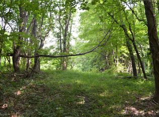 92 Township Rd, Killbuck, OH 44637