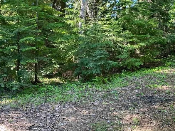 LOT 40 Snowblaze Rec Tracts Rd, Mead, WA 99021
