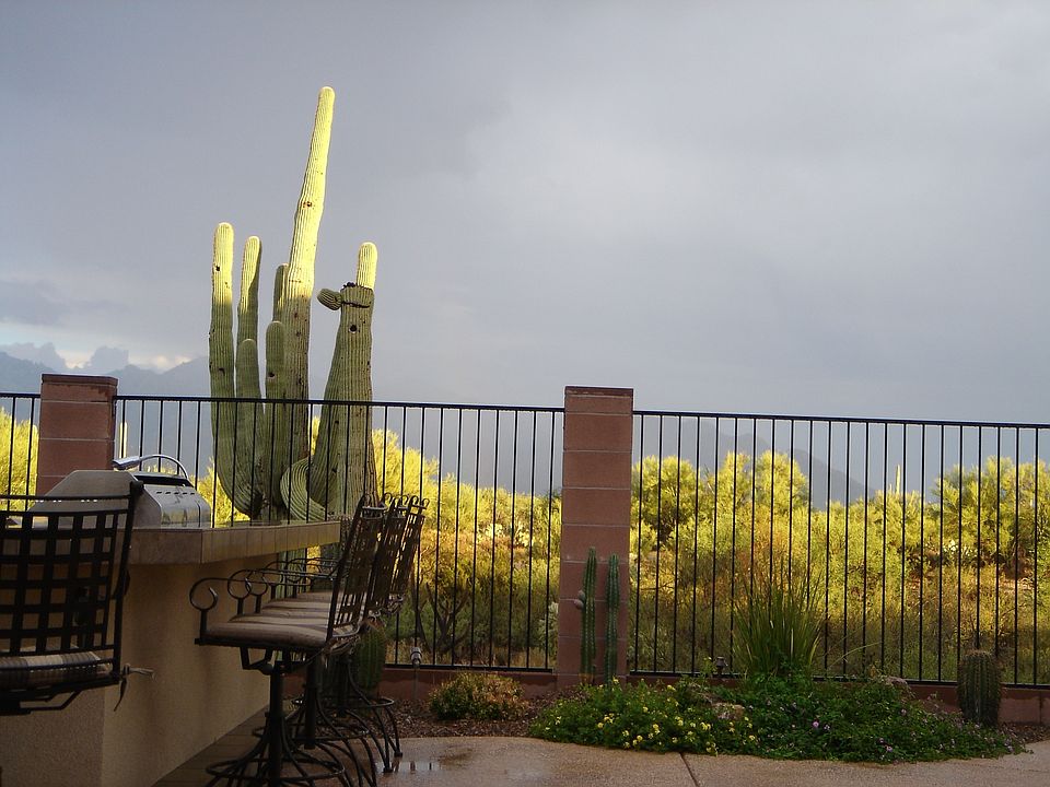 1st image of 12496 N Paseo Penuela