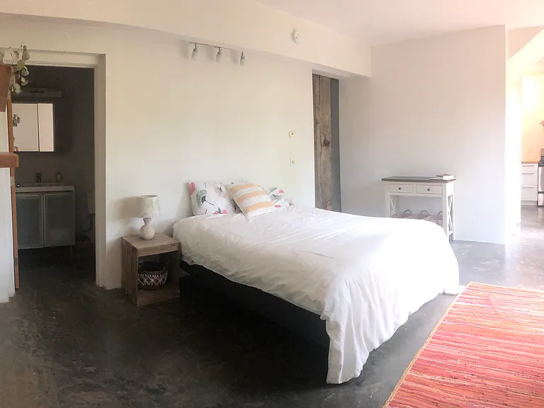 open concept studio bedroom