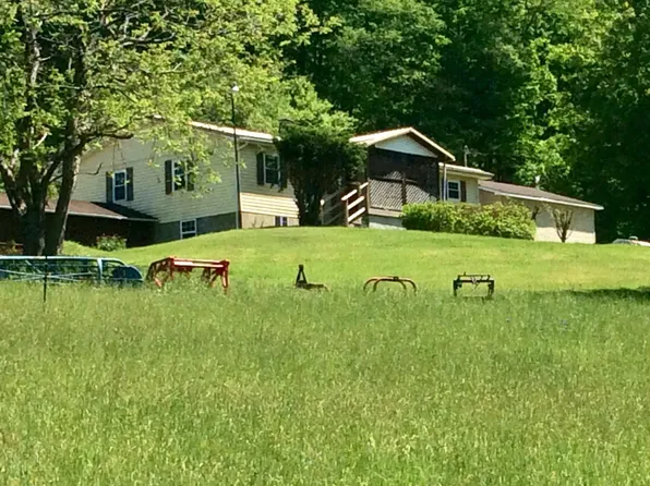 1178 Givens Run Rd, Upperglade, WV 26266