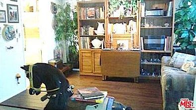 3rd image of 323 N Jackson St APT 104