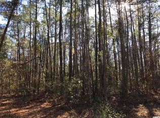 233 Fern Creek Ct, Myrtle Beach, SC 29588