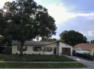 10726 Tabor Dr, Tampa, FL 33625