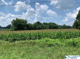 19715 State Highway 117, Henagar, AL 35981