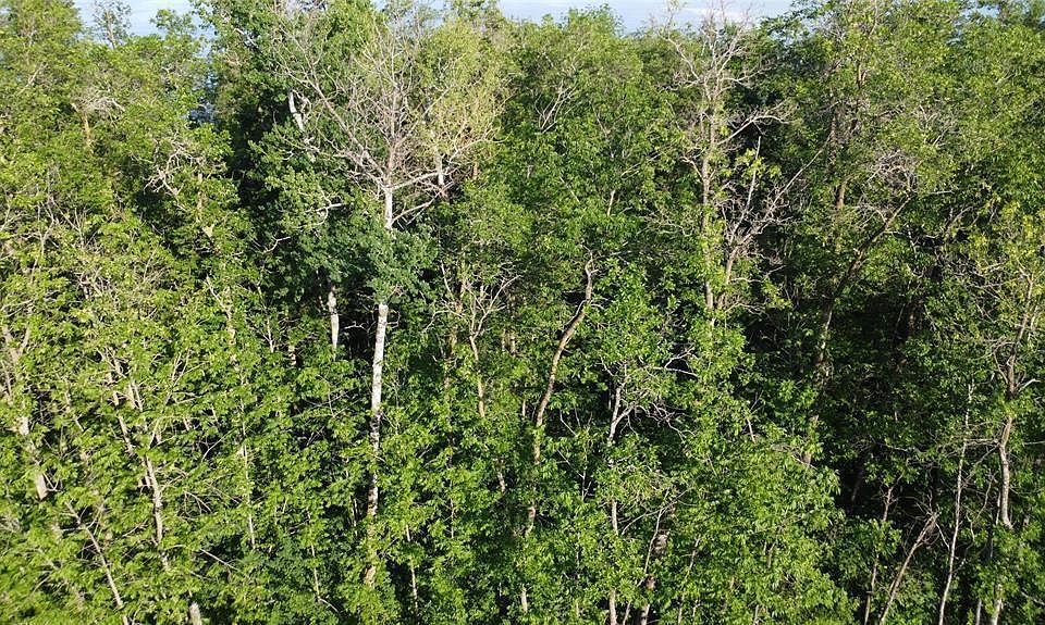 2nd image of 2 Anderson Rd