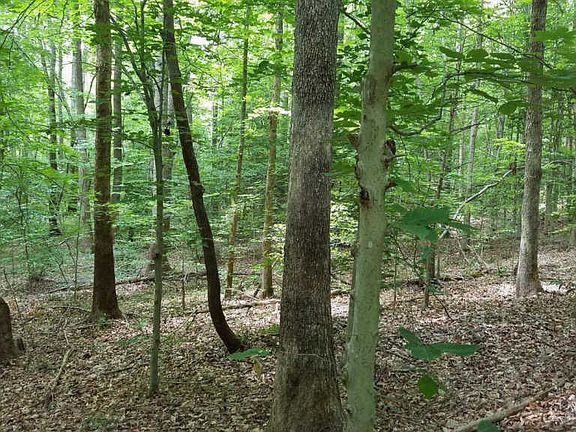 2nd image of 9700 Winding River Dr