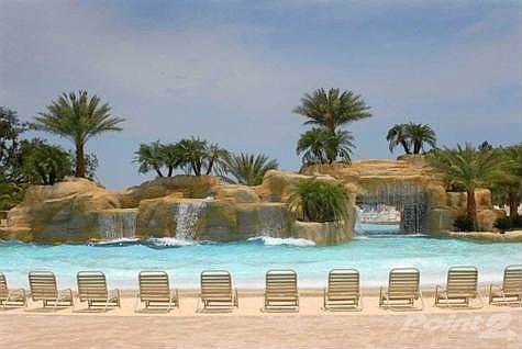 Oasis