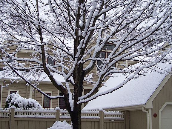Winter scene at Sylvan Ridge