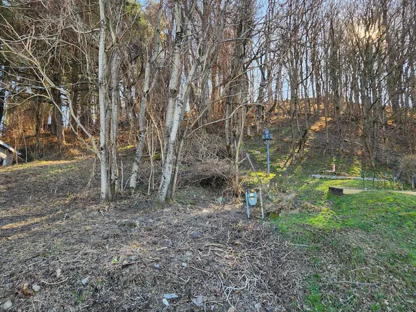 Buena Vista Ave, Clarksburg, WV 26301