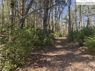 TBD Mountain Cross Lane, Glade Valley, NC, 28627