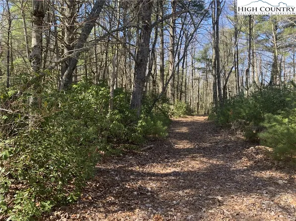 TBD Mountain Cross Lane, Glade Valley, NC 28627