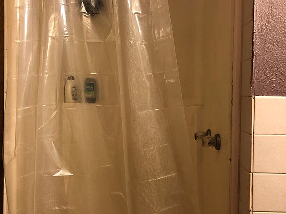 Master bathroom shower 