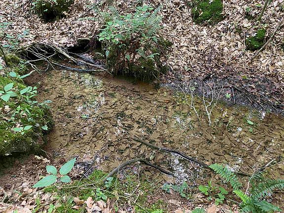 20th image of this home