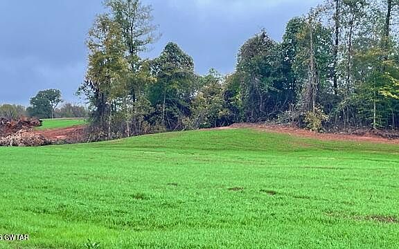 2nd image of 0 Medon Malesus Rd