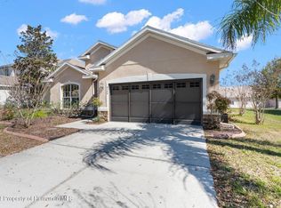 4344 Birchfield Loop, Spring Hill, FL 34609