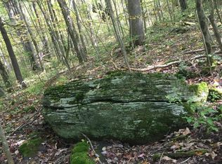 0 Musson Erwin Rd, South New Berlin, NY 13843