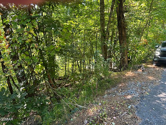 5th image of Overholt Trl