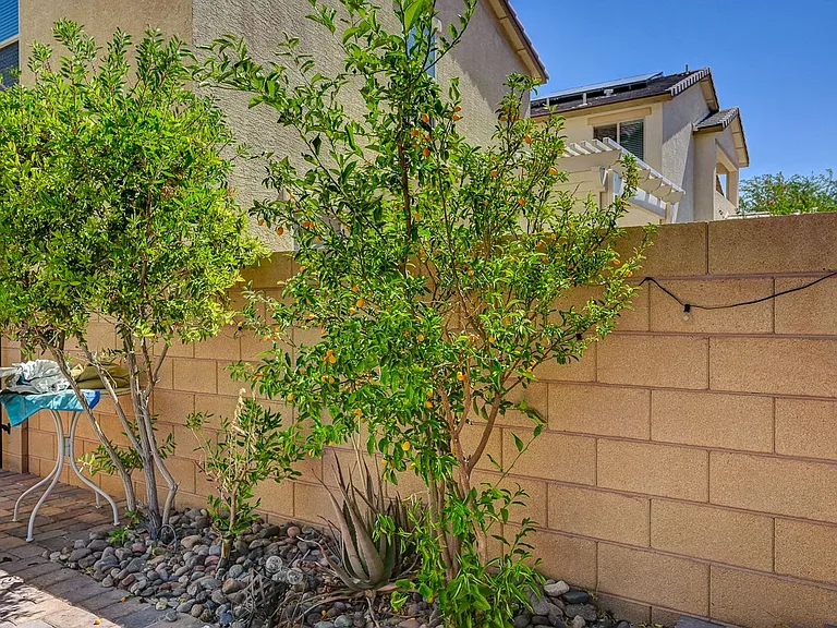 6363 Amelia Ridge Ave — Photo 32