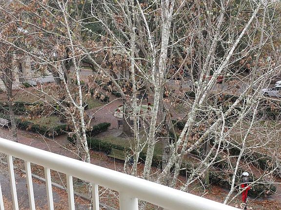 Overlooking the park