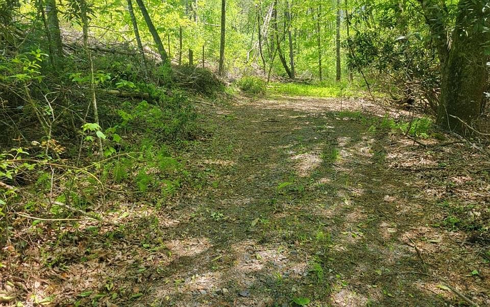 1st image of LOT 2&3 River Cove Ln