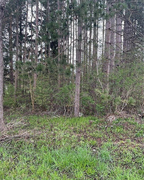 2nd image of 249 Maple Rd