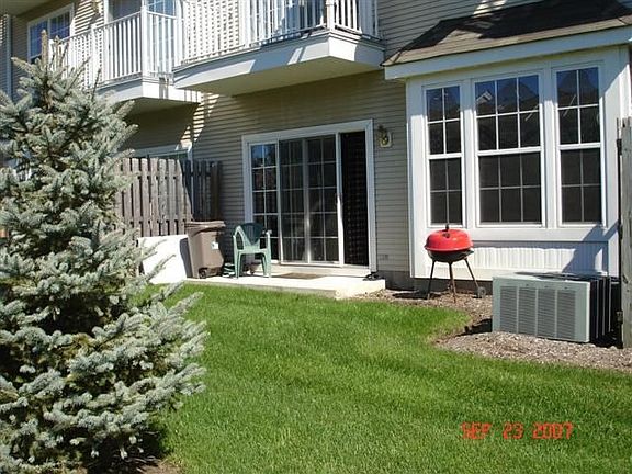 Back Yard - Patio